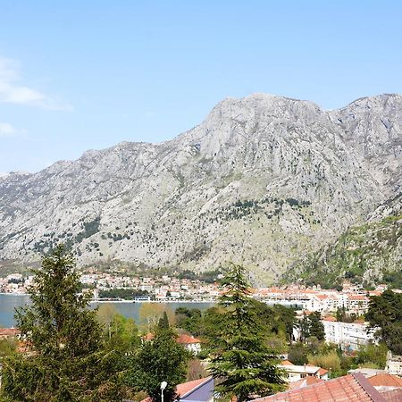 Apartment Baletic Kotor Eksteriør billede