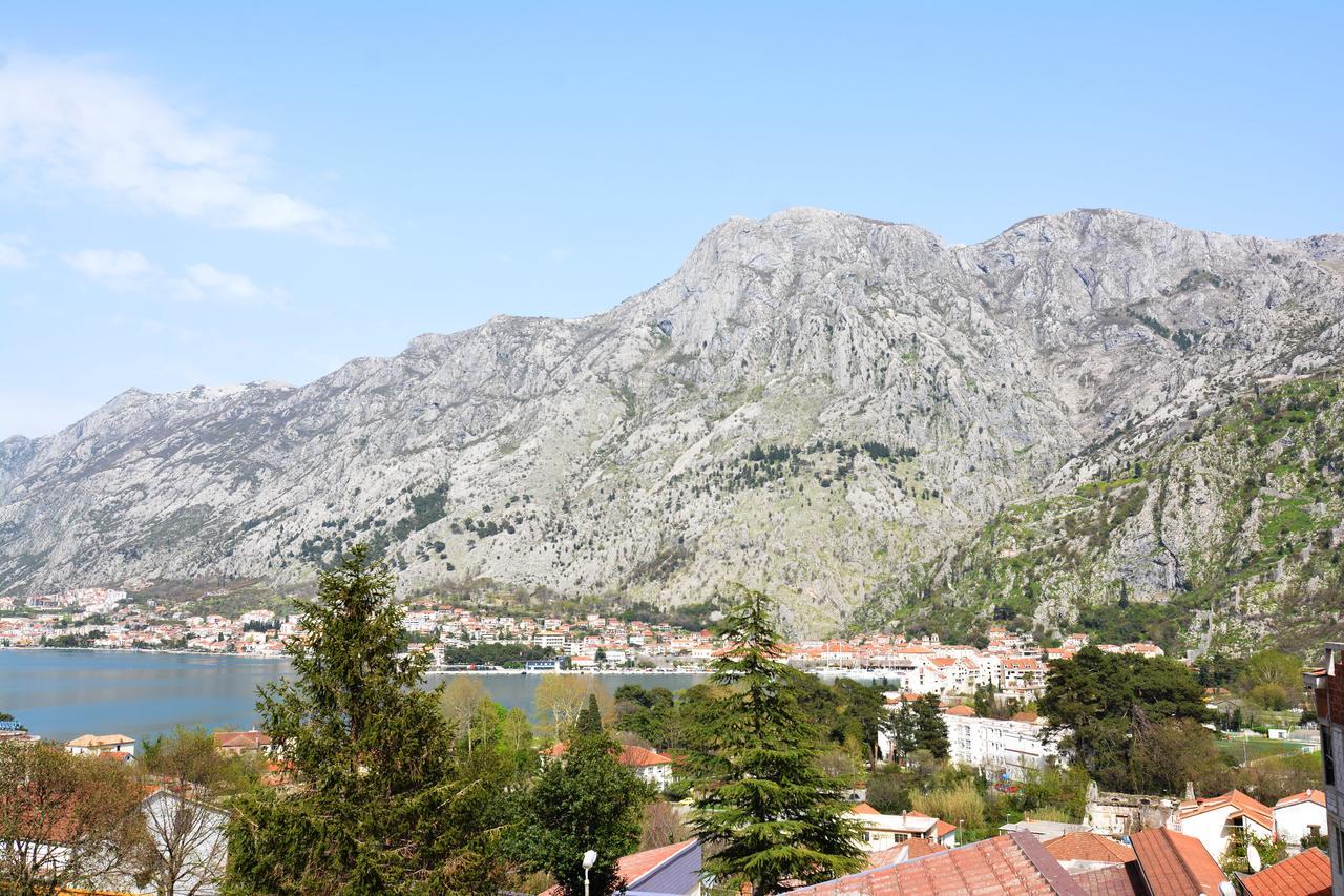 Apartment Baletic Kotor Eksteriør billede