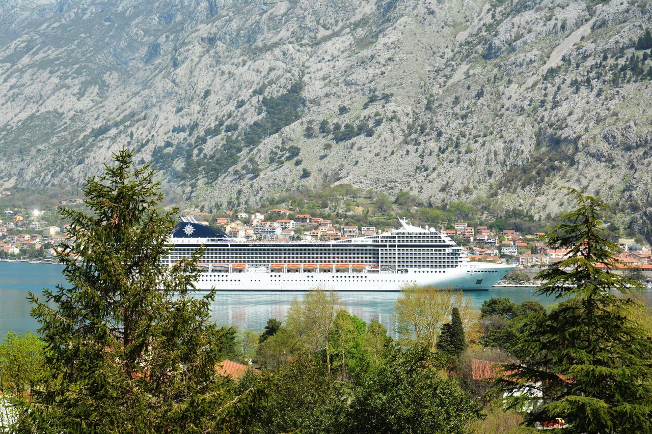 Apartment Baletic Kotor Eksteriør billede